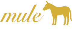 Mule Audio Online Store